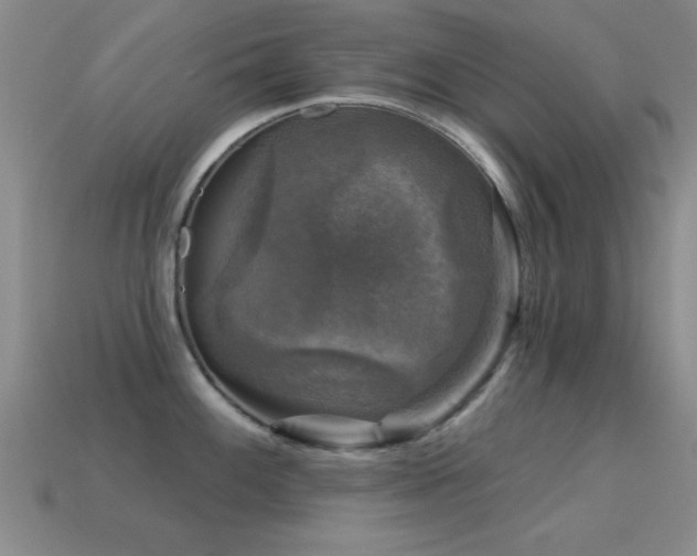 X0000114691100200910211307