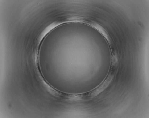 X0000114691101200910211307