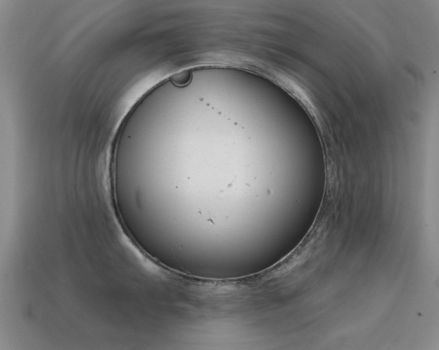 X0000114691103200910211307