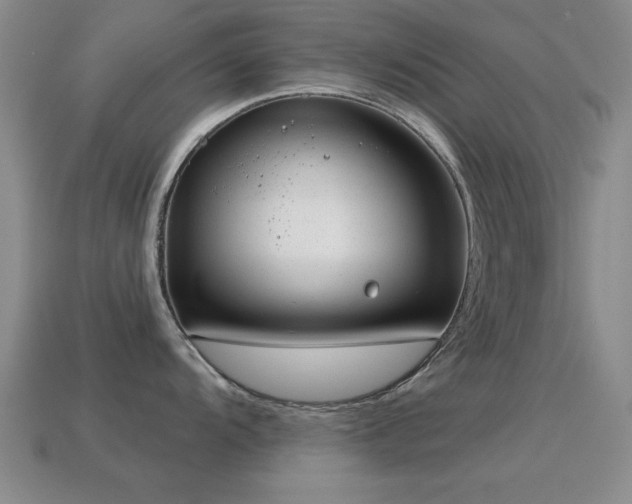 X0000114691104200910211307