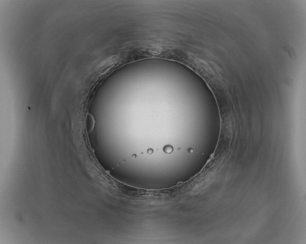 X0000114691105200910211306