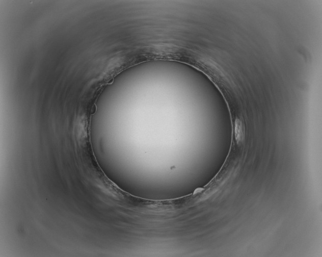 X0000114691107200910211307