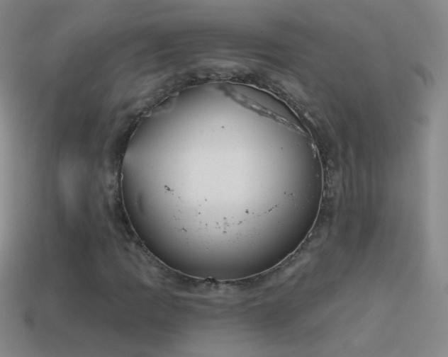 X0000114691109200910211307