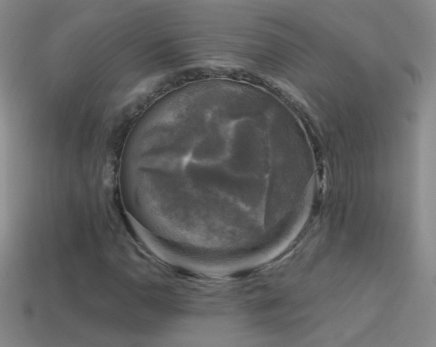 X0000114691110200910211307