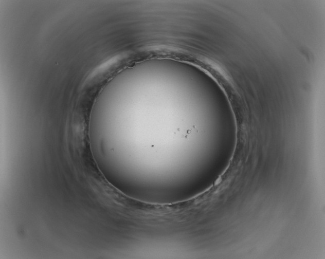 X0000114691111200910211307