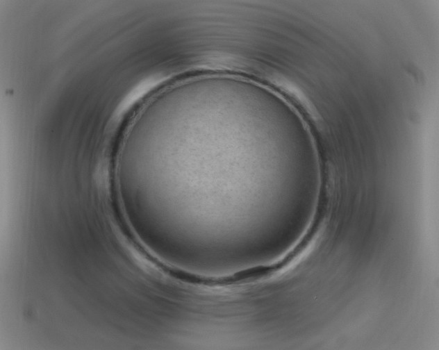 X0000114691114200910211307