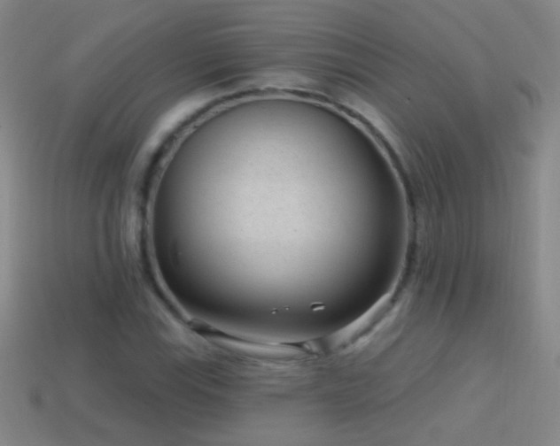 X0000114691115200910211307