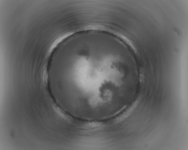 X0000114691117200910211307