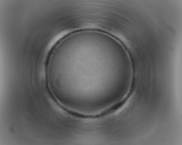 X0000114691118200910211307