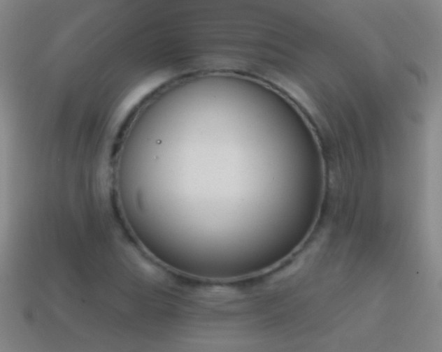 X0000114691119200910211307