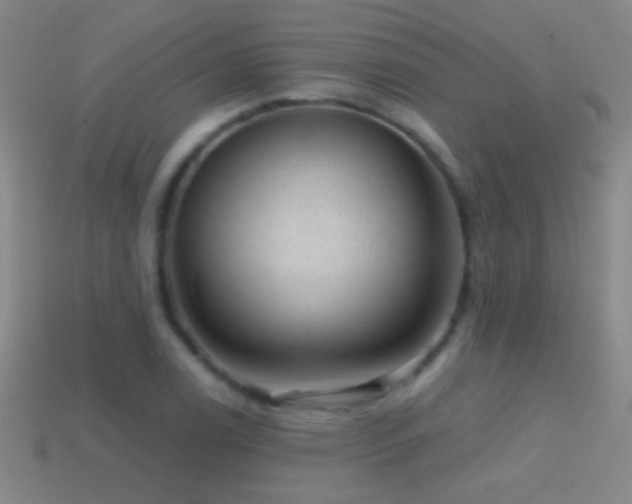 X0000114691122200910211307