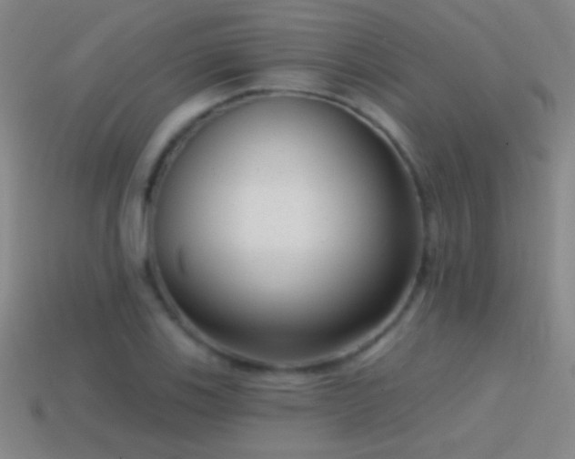 X0000114691123200910211307