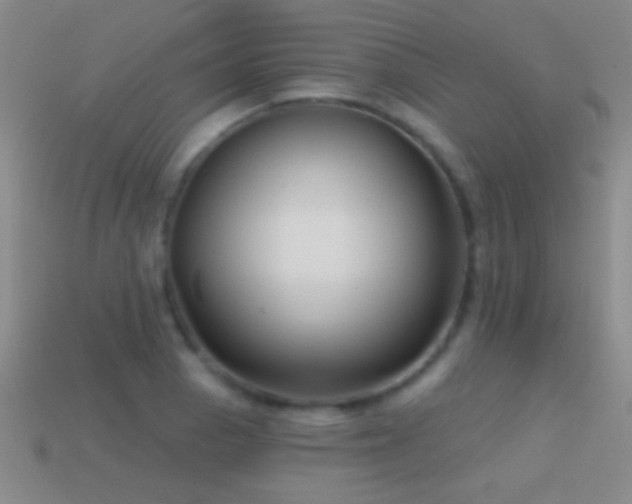 X0000114691129200910211307