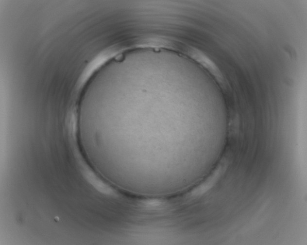 X0000114691130200910211307