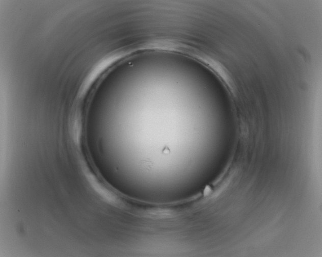 X0000114691131200910211307