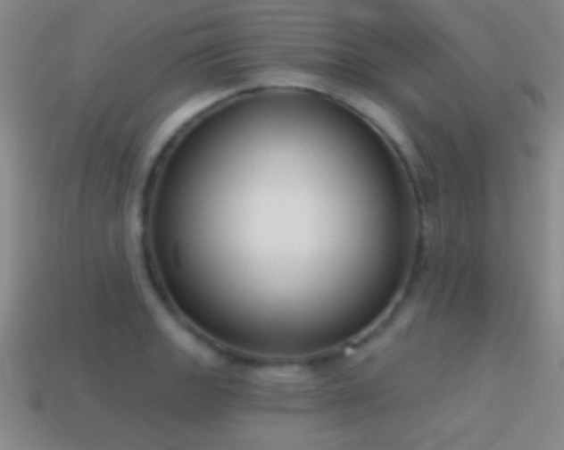 X0000114691133200910211307