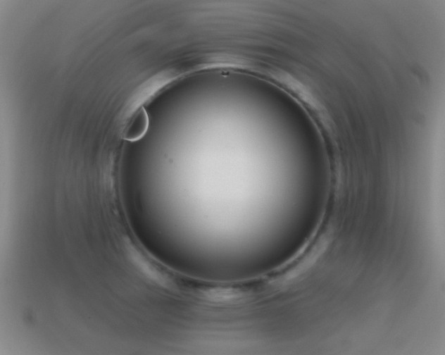 X0000114691137200910211307