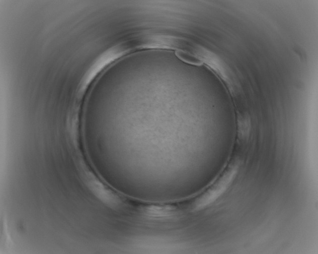 X0000114691138200910211307