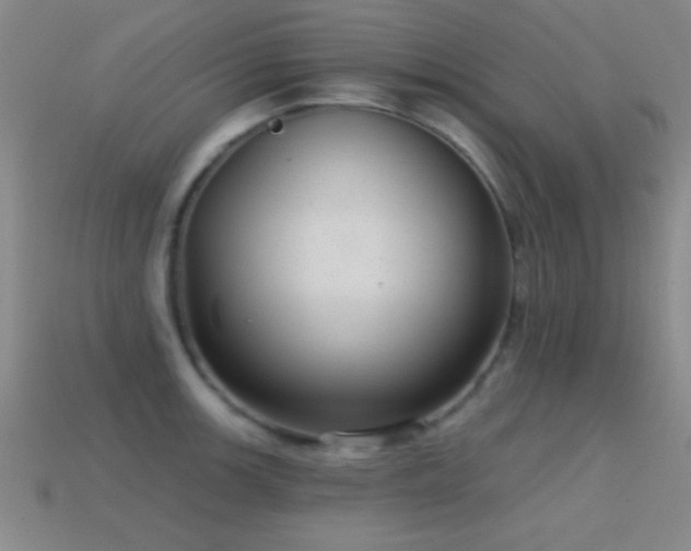 X0000114691139200910211307
