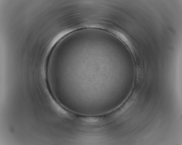 X0000114691141200910211307