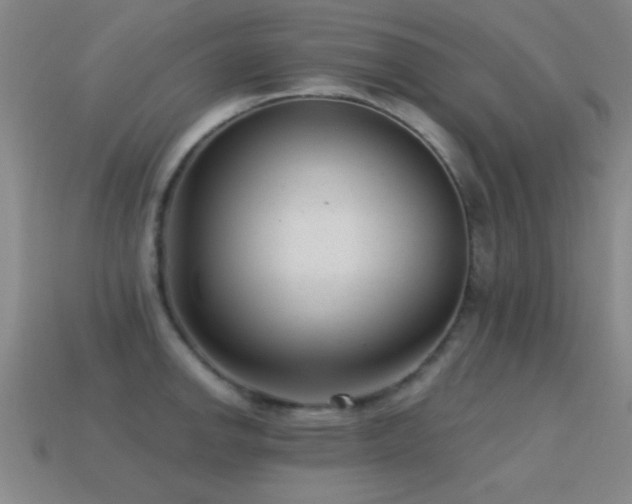 X0000114691142200910211307