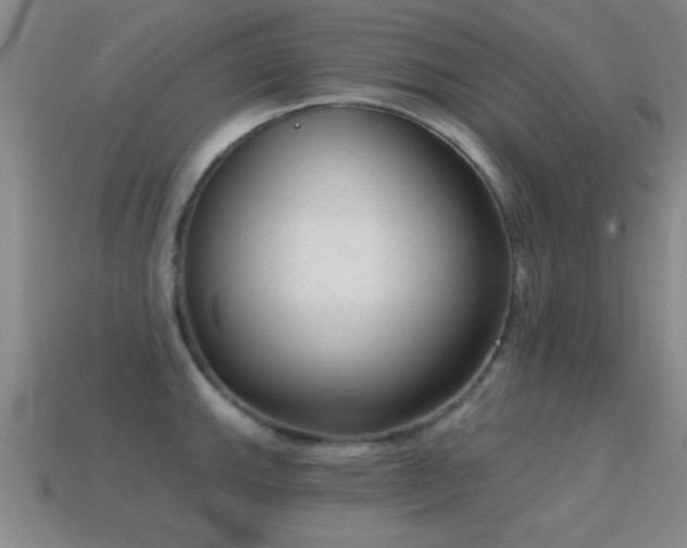 X0000114691143200910211307