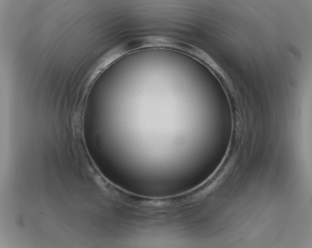 X0000114691145200910211307