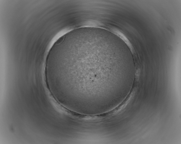X0000114691146200910211307
