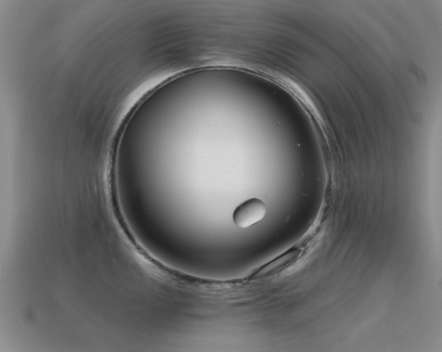 X0000114691149200910211307