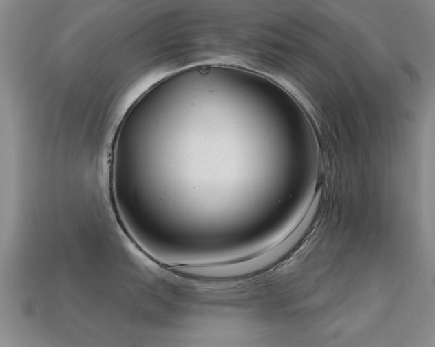 X0000114691151200910211307