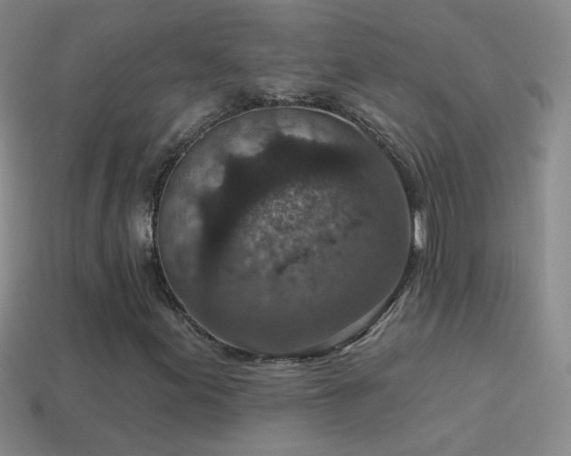 X0000114691155200910211306