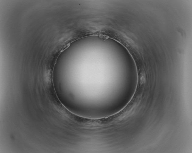 X0000114691156200910211306