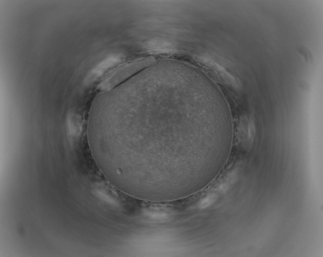 X0000114691157200910211306