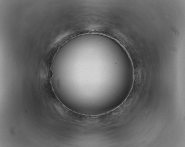X0000114691158200910211306
