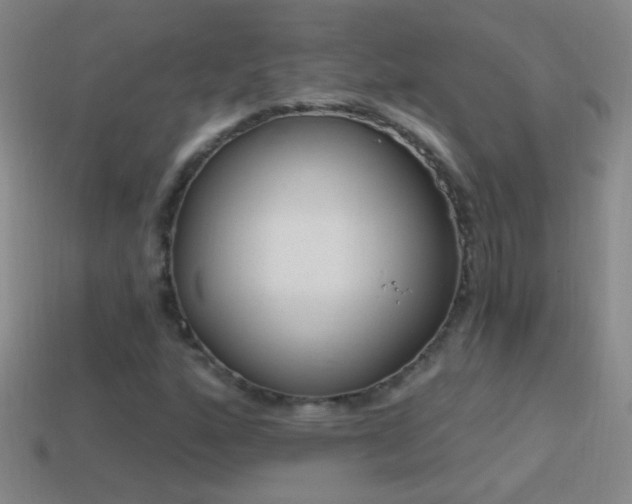 X0000114691160200910211306