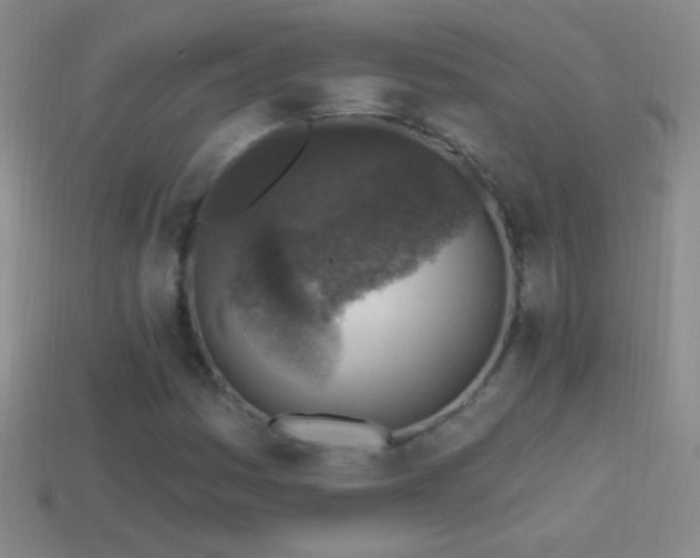 X0000114691161200910211306