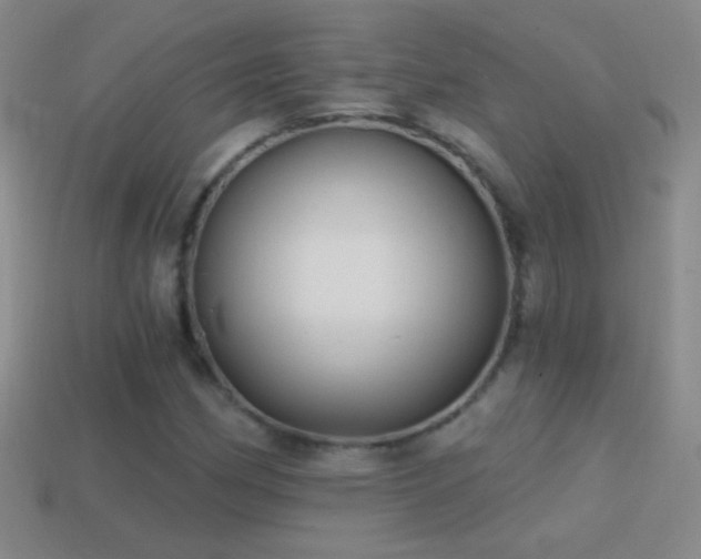 X0000114691162200910211306