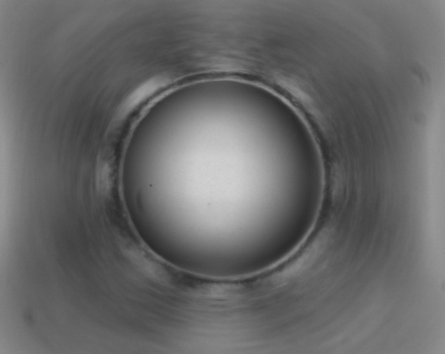 X0000114691163200910211306