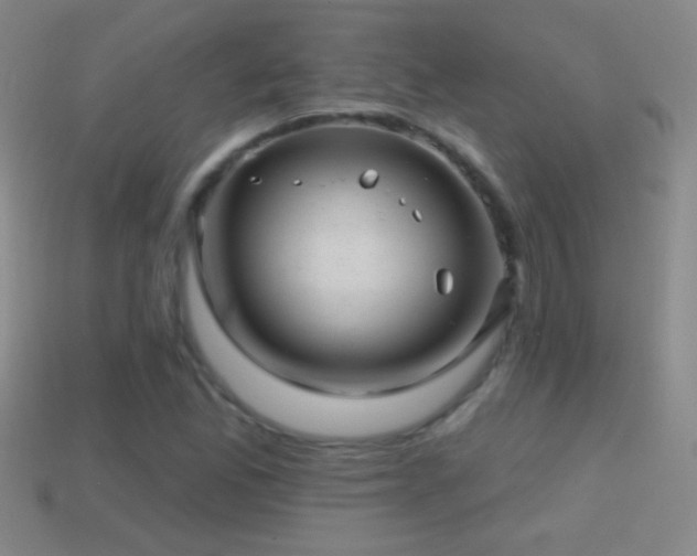 X0000114691165200910211306