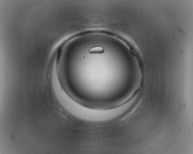 X0000114691167200910211306