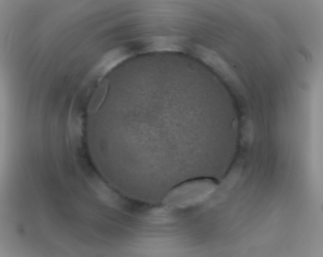 X0000114691169200910211306