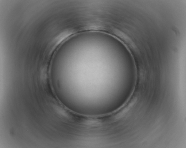 X0000114691170200910211306