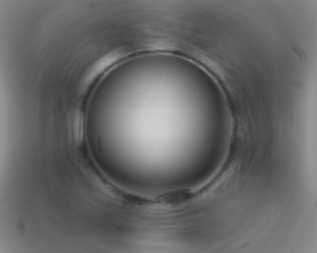 X0000114691171200910211306