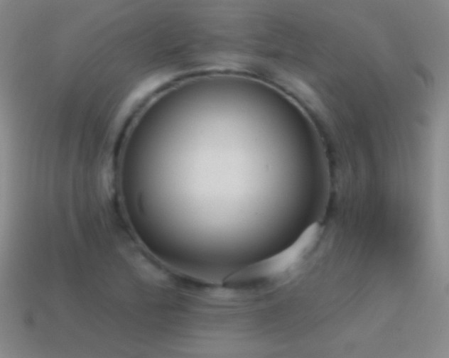 X0000114691172200910211306