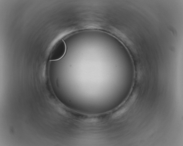 X0000114691174200910211306