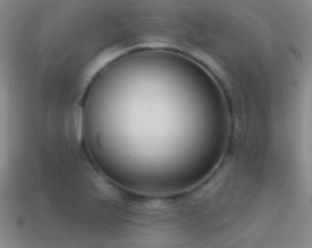 X0000114691175200910211306