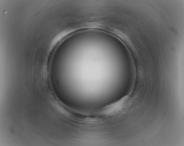 X0000114691176200910211306