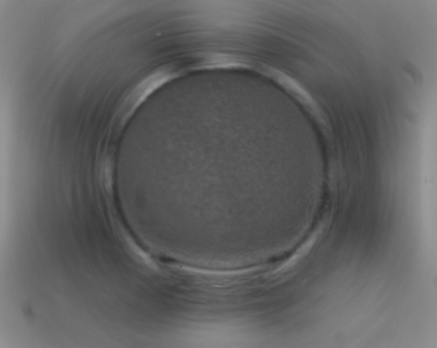 X0000114691177200910211306