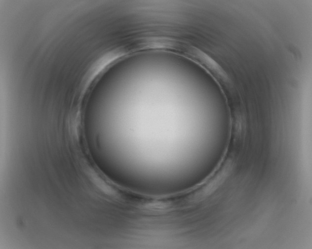 X0000114691178200910211306