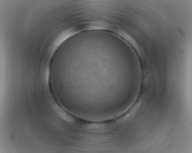 X0000114691179200910211306